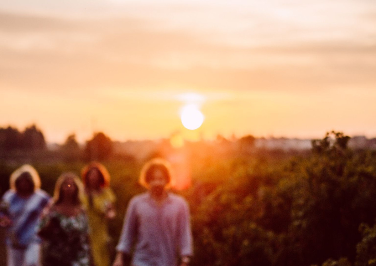 Tour enogastronomico in Vigna