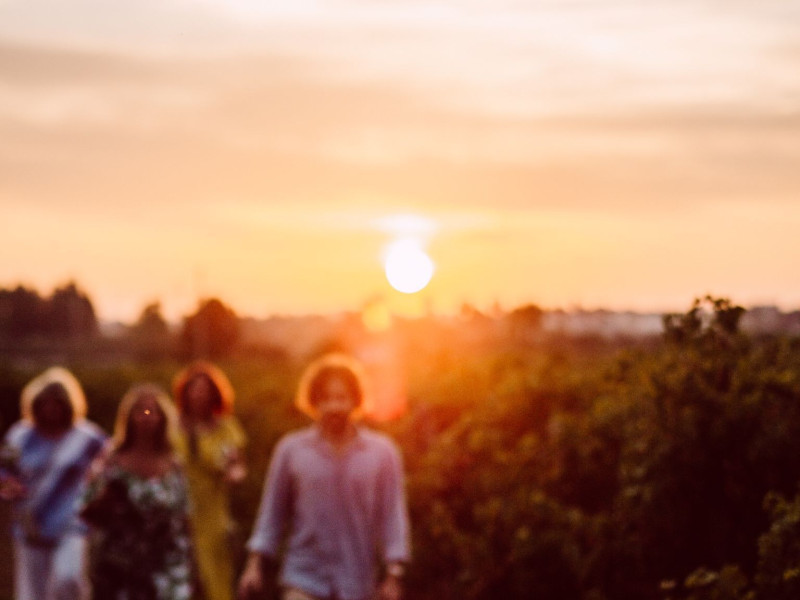 Tour enogastronomico in Vigna