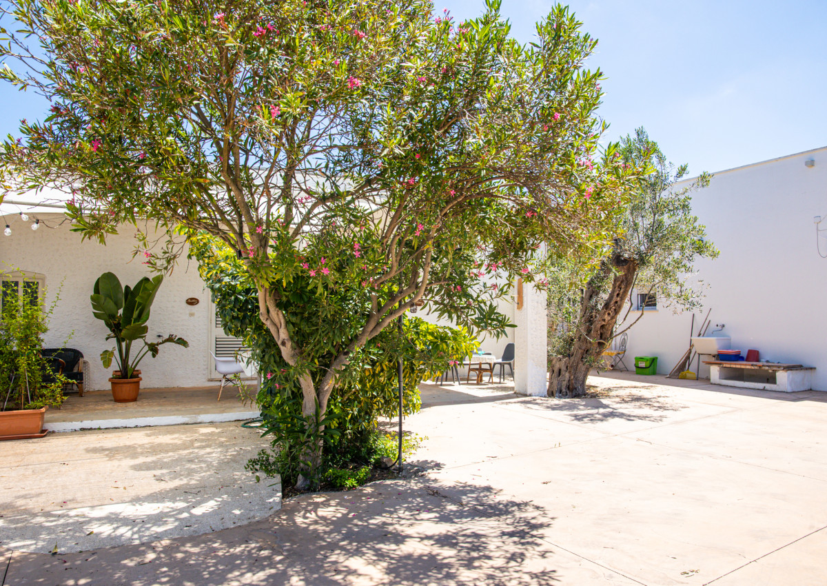 La Riserva dei Felici "Fulvia"