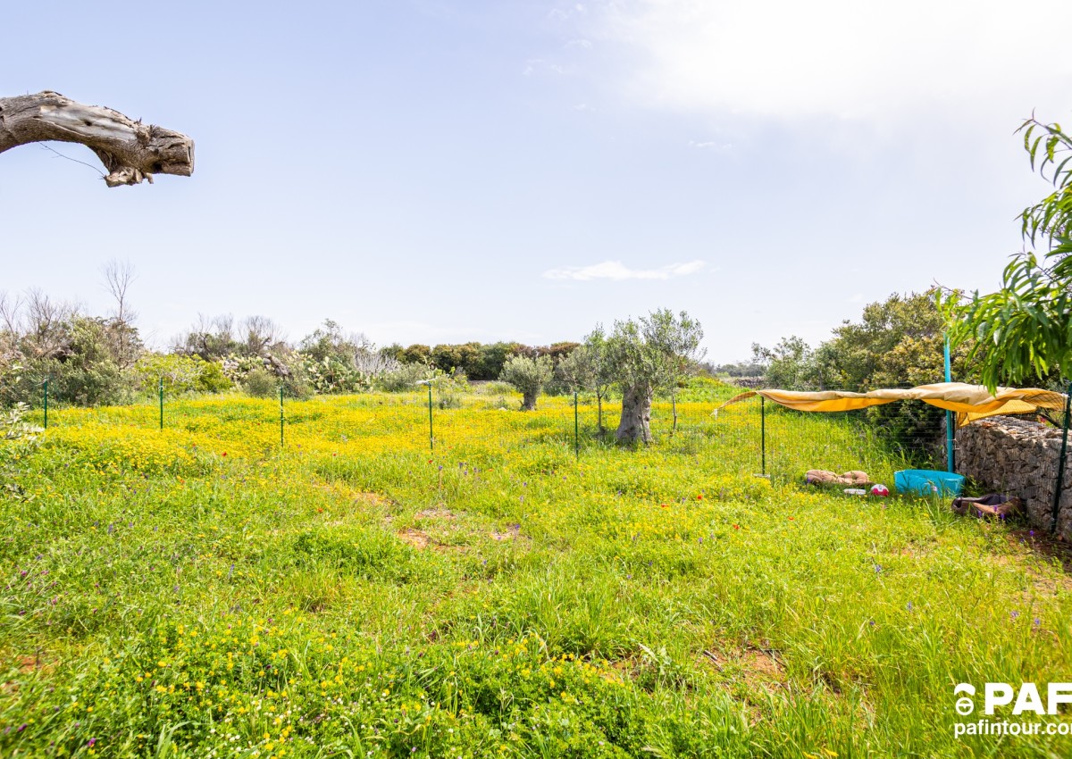 La casetta di campagna