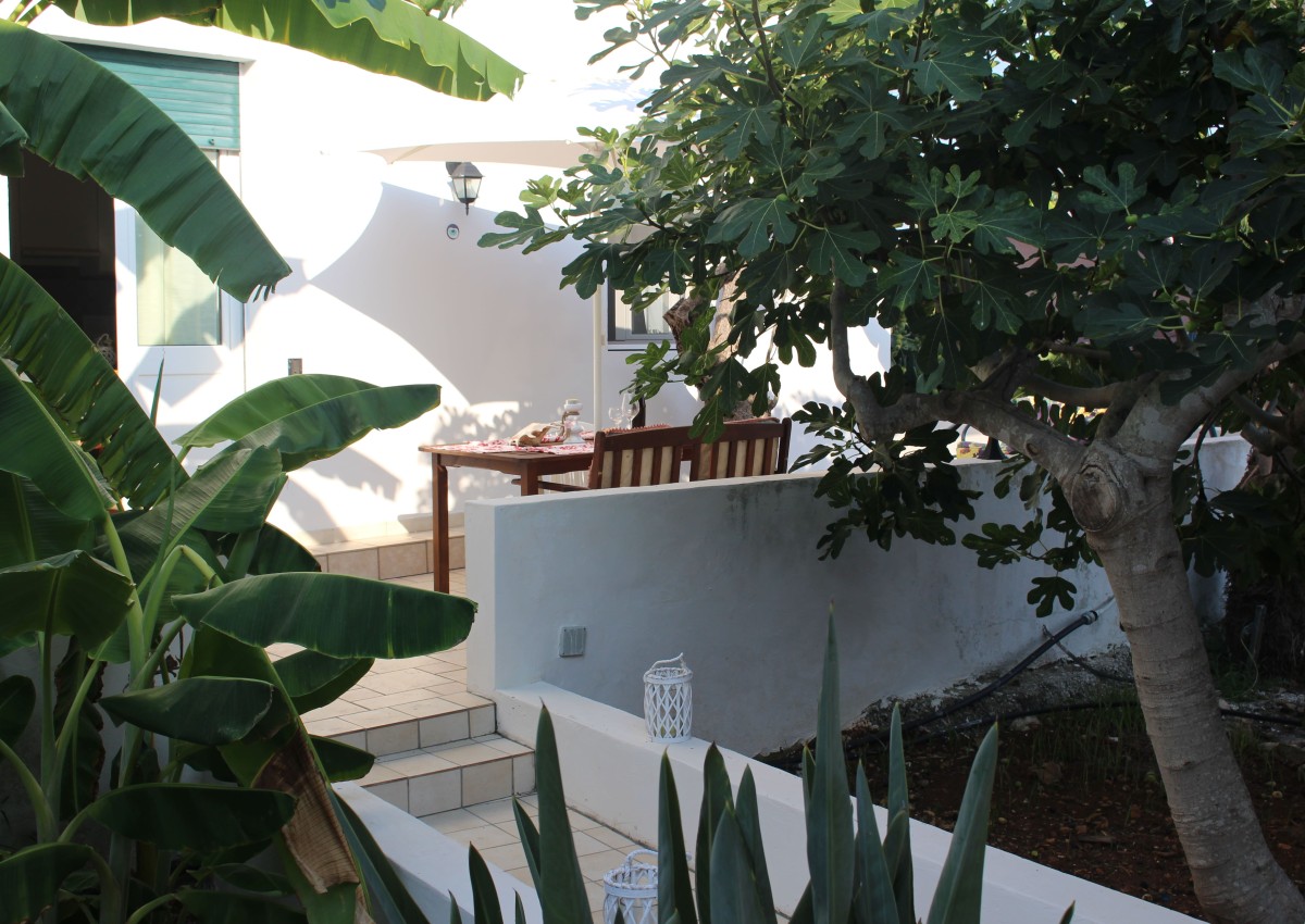 La Riserva dei Felici "Orsetto"